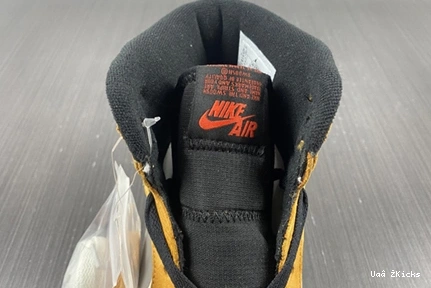 Curry Gore-Tex Jordan Light High DB2889-700 1 Durable Element 172  1031